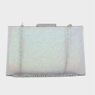 Party Wear Clutch BK4026-Silver